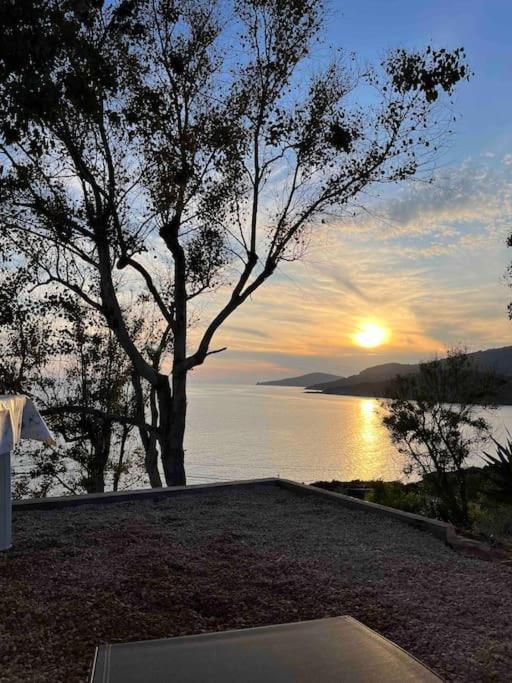 Appartement 2 Personnes Bord De Mer Sagone  Bagian luar foto